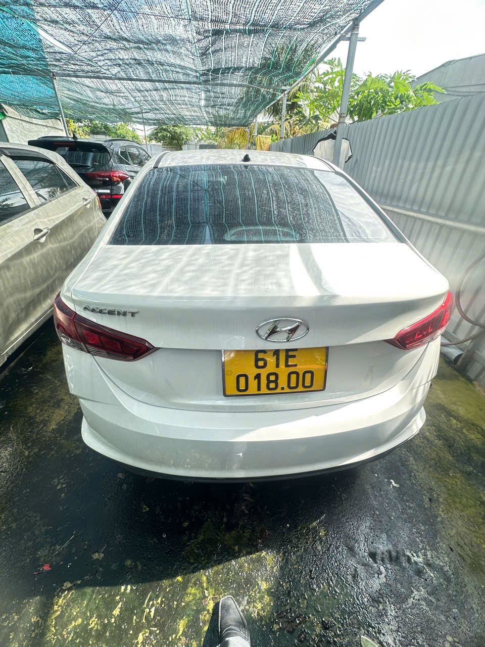 z7028710720523_6e293206298a948f8466d54aae8aa662