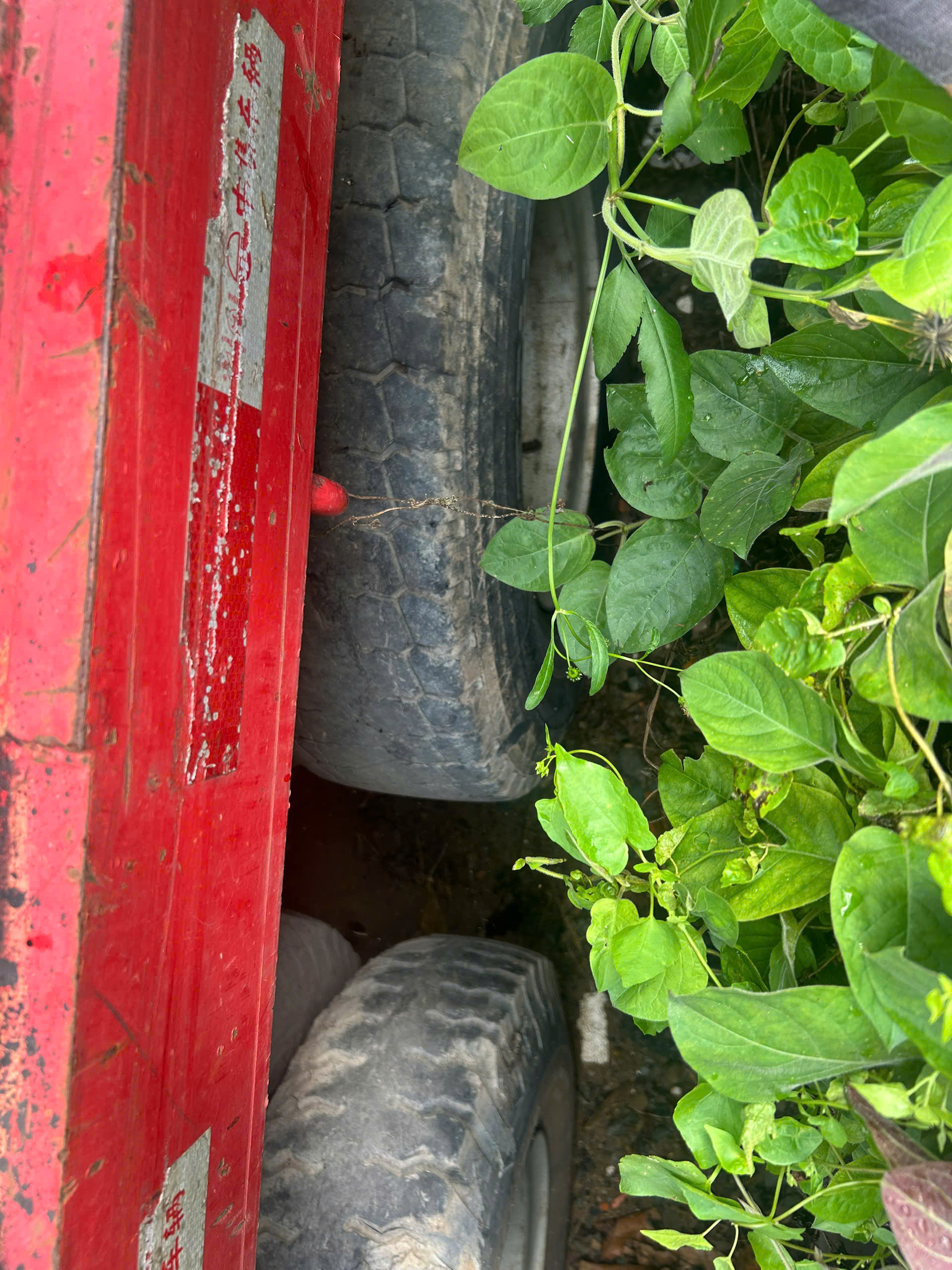 z7143936385181_eb3add8b5727c906718de88b3ff5a128