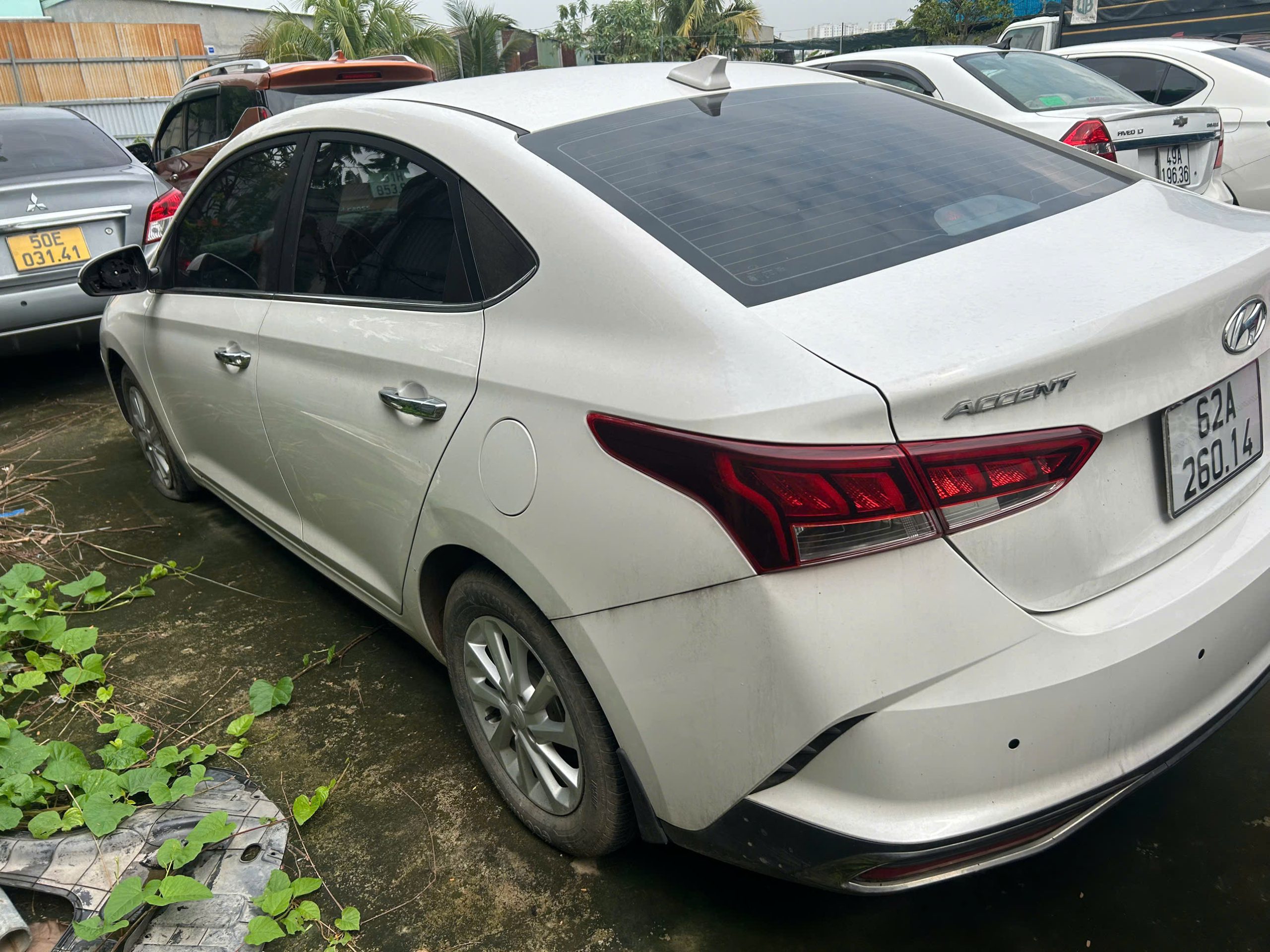 z7143944733518_34ecda656b973b772a72c7439dd488c6