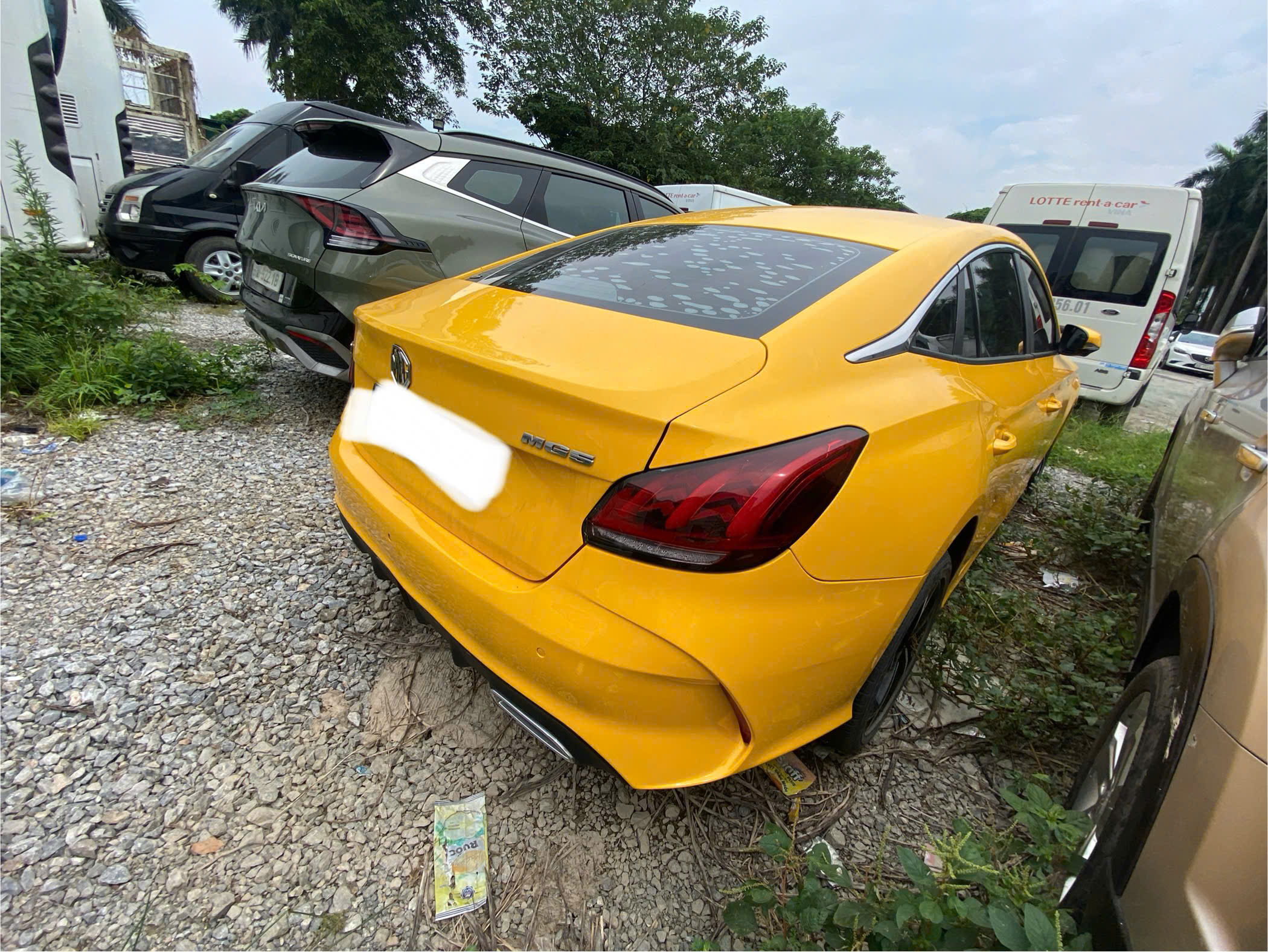 z7159734615639_0606ee034c95204897ce34ad44474661