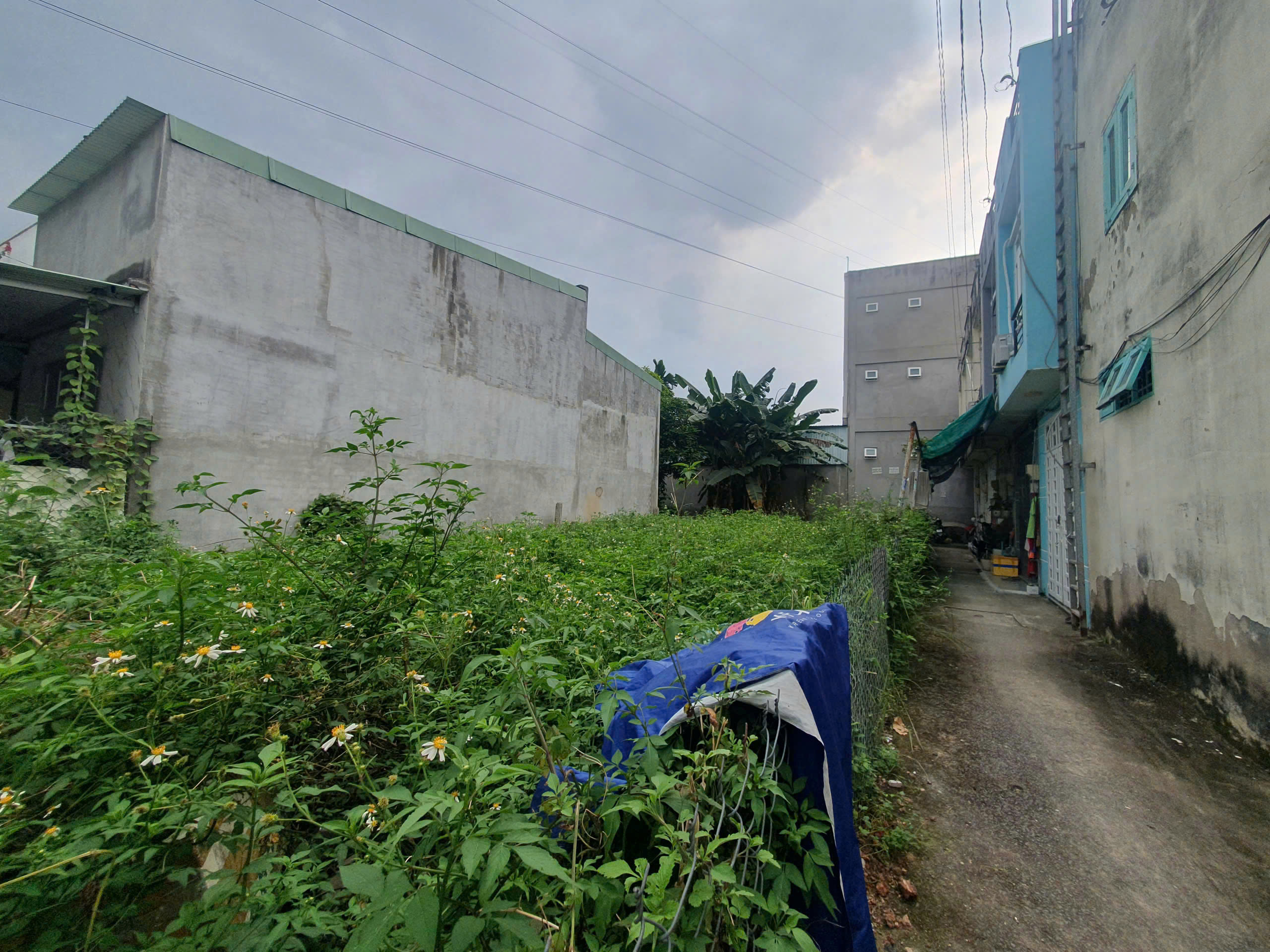 z7263919415063_ca2ea42dc452b0841a02c91433bcadef